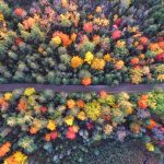 Quelques lieux touristiques du Québec à ne pas rater