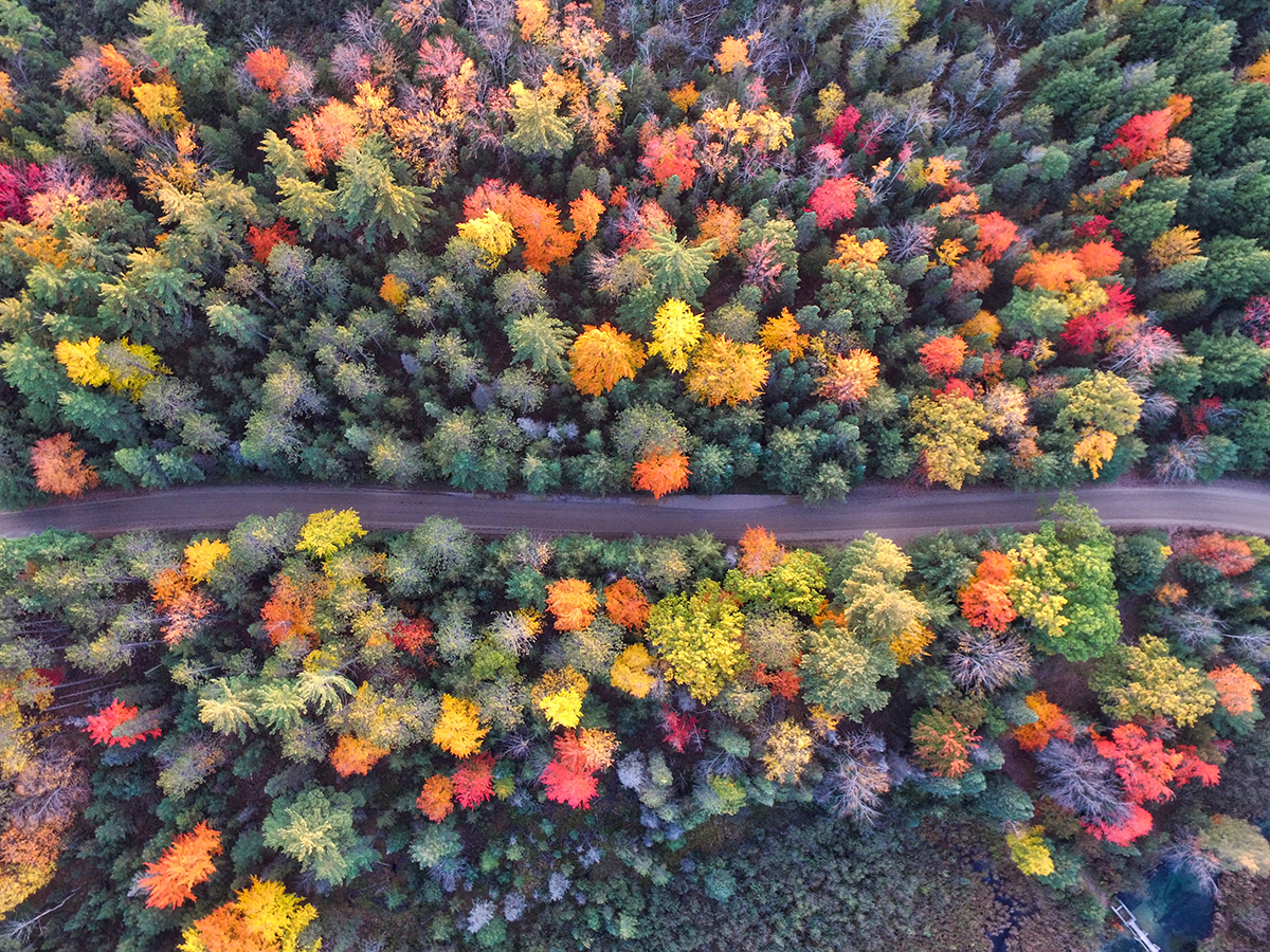 Quelques lieux touristiques du Québec à ne pas rater