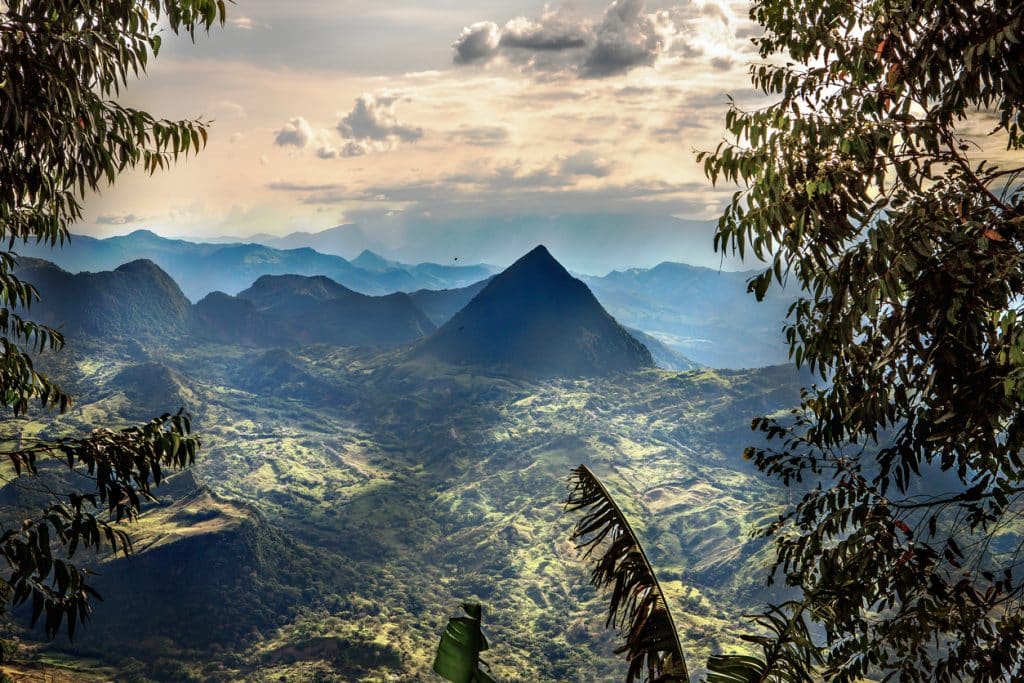 Forêt Amazonienne en Colombie