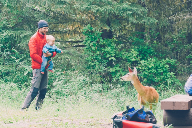 Etats-Unis avec bébé animeaux