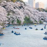 voyage au Japon