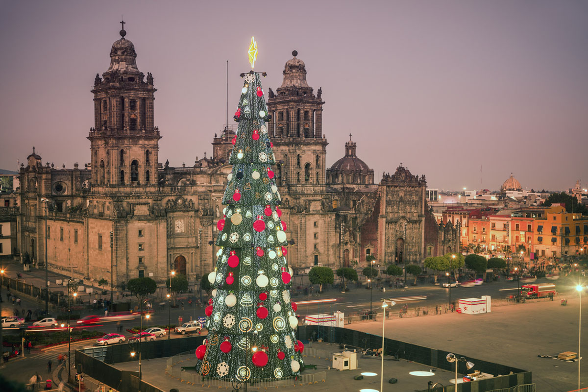 Sapin de Noël à Mexico