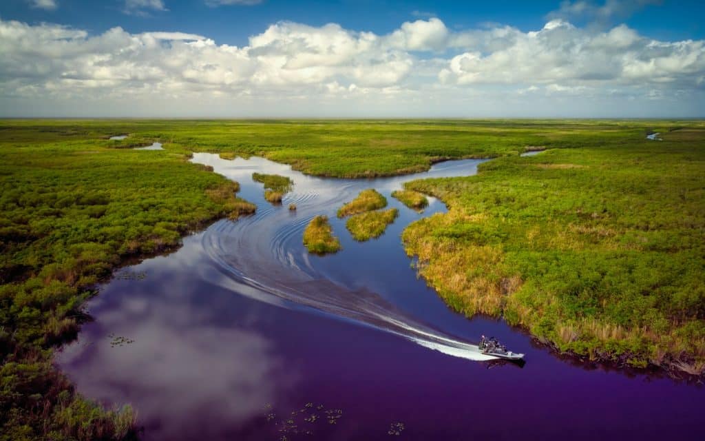 Vue aérienne du parc national des Everglades