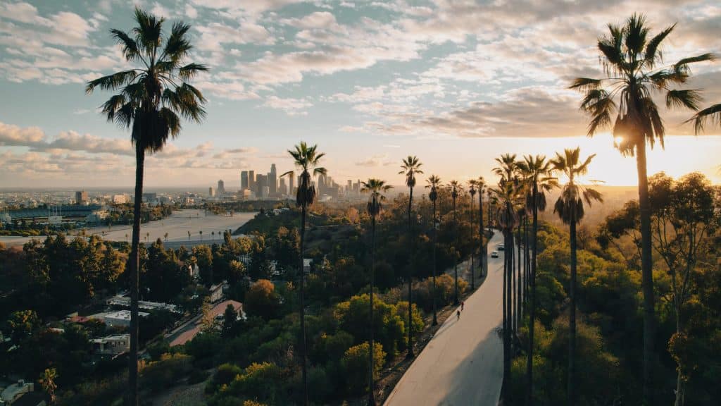 Vue sur Los Angeles avec ses palmiers