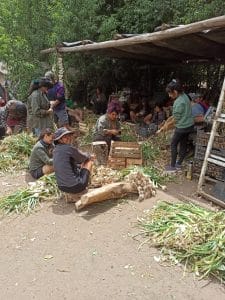 Pratique de l'agroécologie en Amérique du Sud