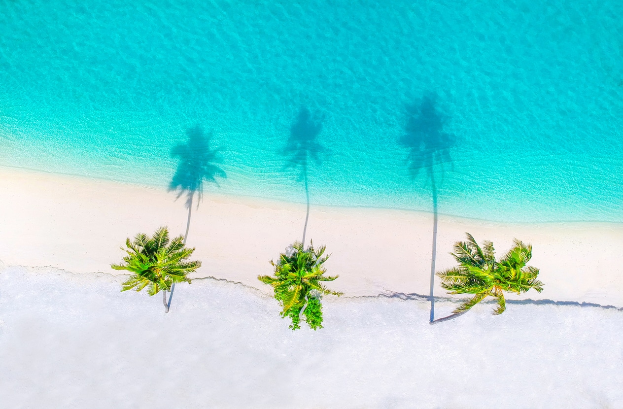 Vue aérienne d'une plage paradisiaque de l'île Maurice