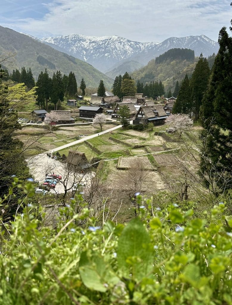 Vue sur le village de Gokayama dans les Alpes japonaises