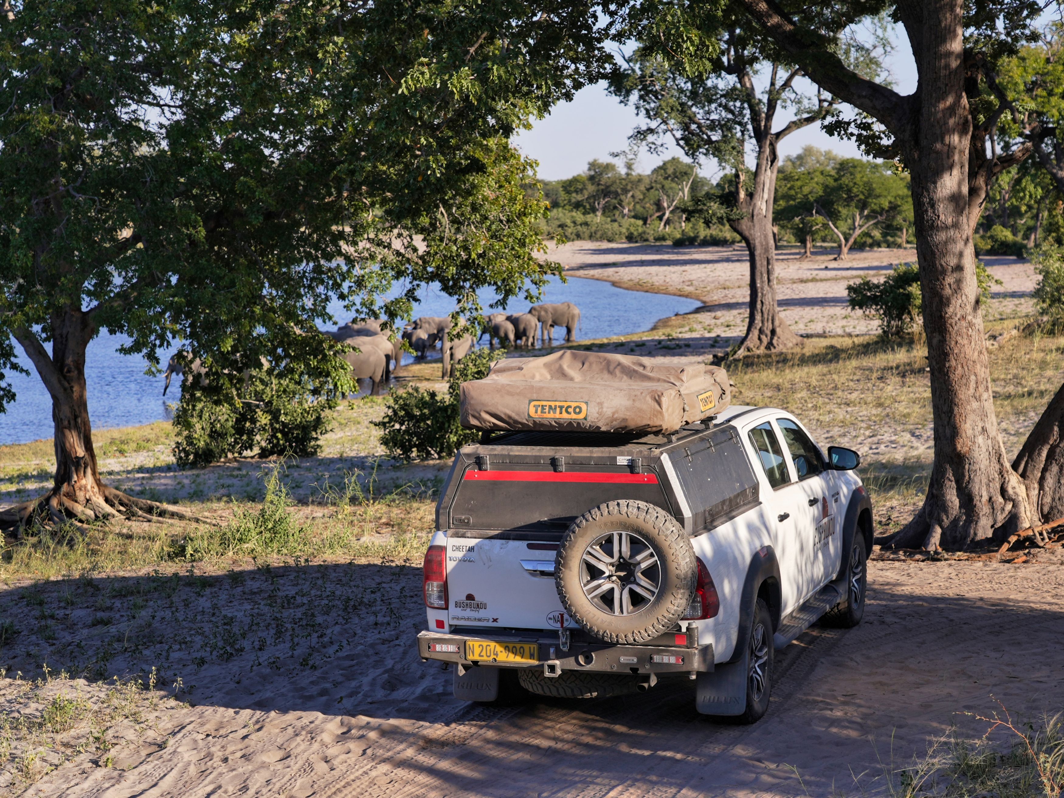 4x4 posé près d'éléphants vers un point d'eau dans le désert