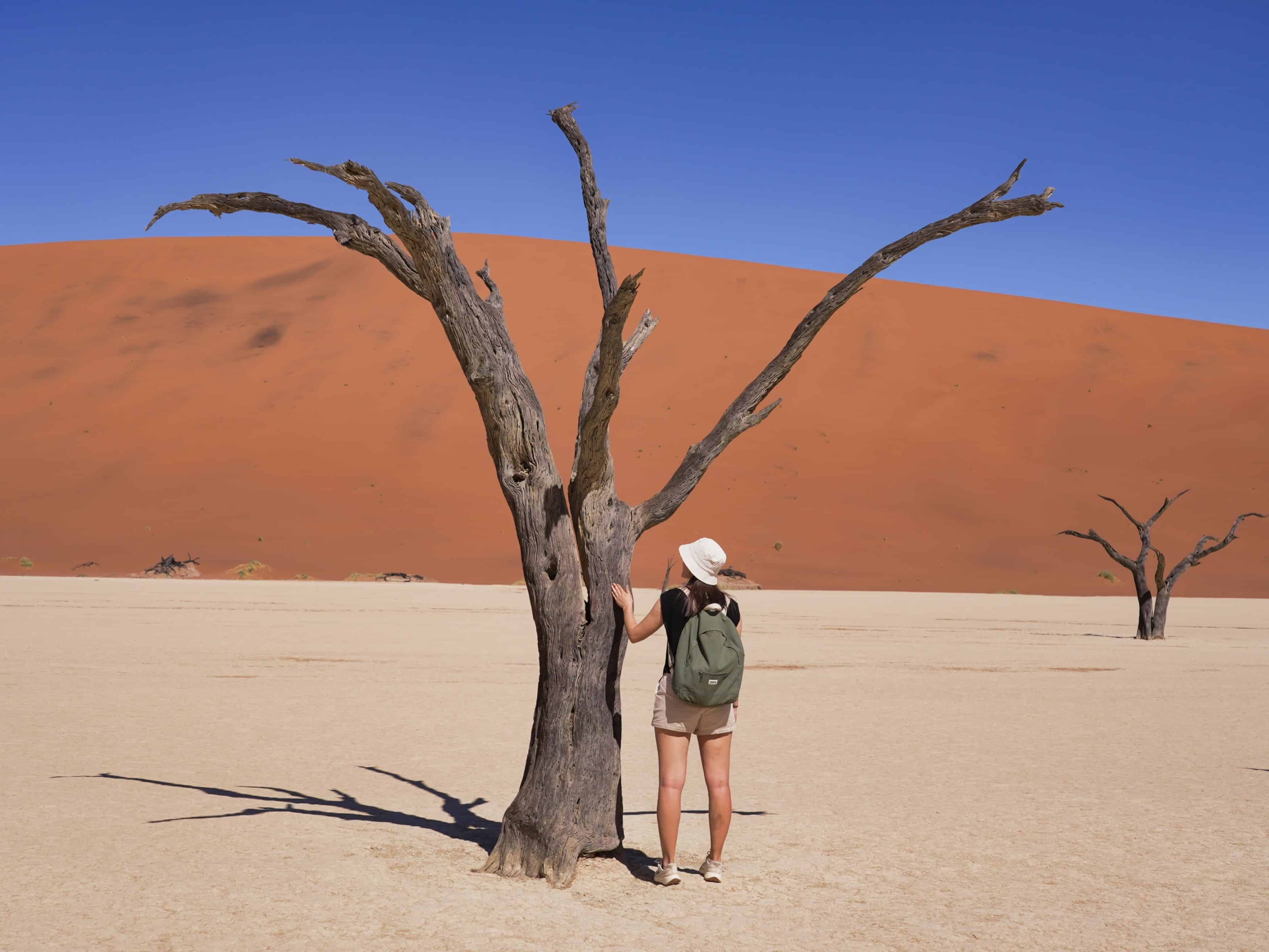 Jeune femme touchant un arbre mort dans une vallée désertique