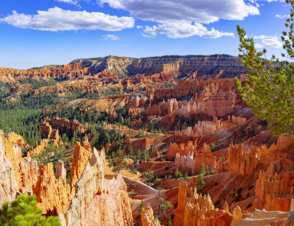 Vue sur les roches rouges de Bryce Canyon Park