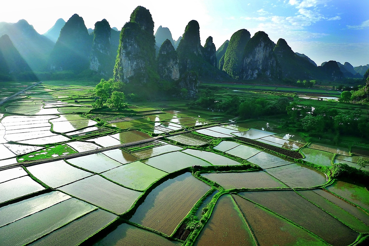 Vue sur les rizières et les montagnes 