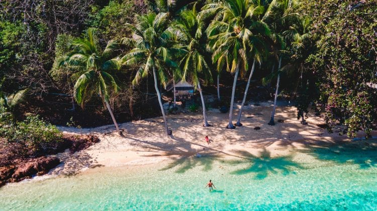 Vue panoramique sur une plage tropicale et son bungalow