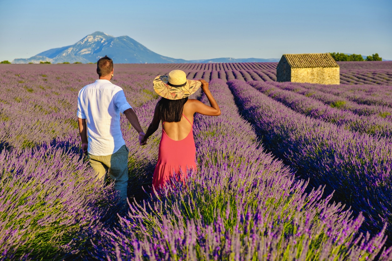 Visiting a lavender field in Provence, France